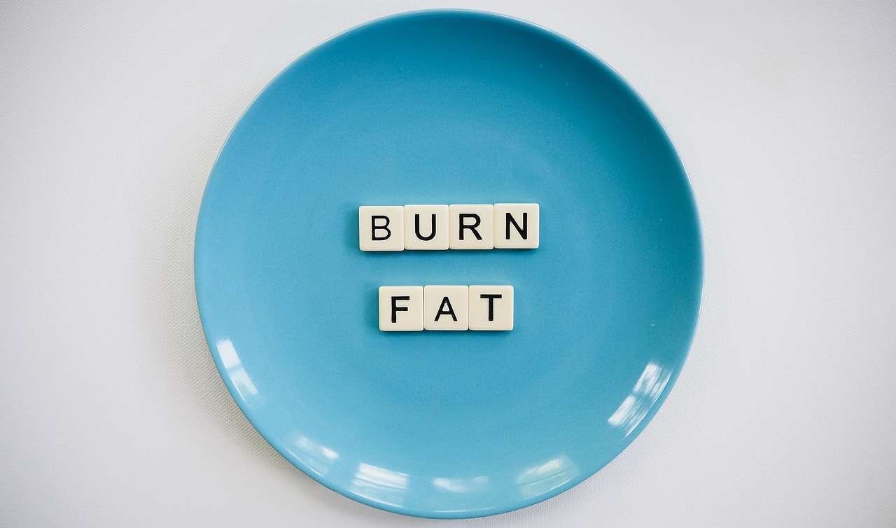 Plant-Based vs Keto for Fat Loss